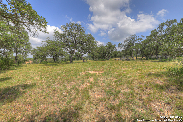 Image 19 of 45 For 338 Sheridan
