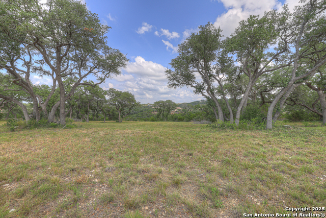 Image 7 of 45 For 338 Sheridan
