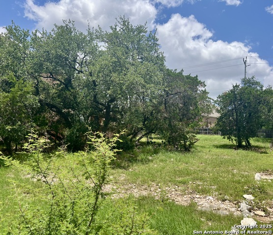 Image 2 of 8 For 24002 Viento Oaks
