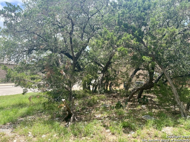 Image 7 of 8 For 24002 Viento Oaks