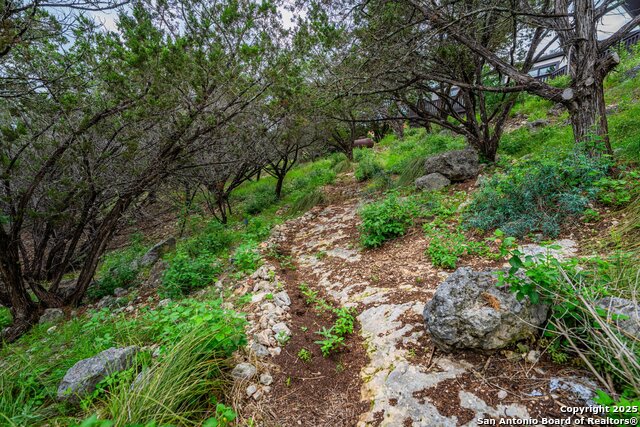 Listing photo id 35 for 327 Loma Vista