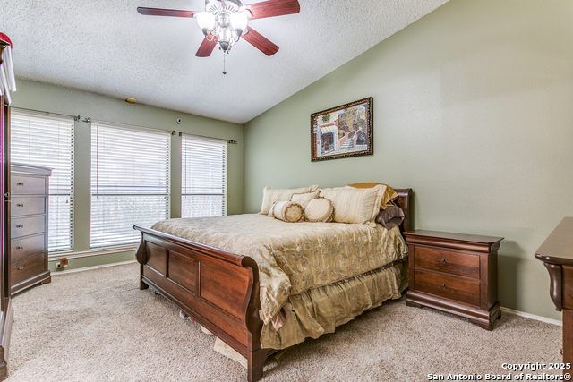 Image 14 of 24 For 2019 Shanetag