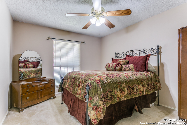 Image 17 of 24 For 2019 Shanetag