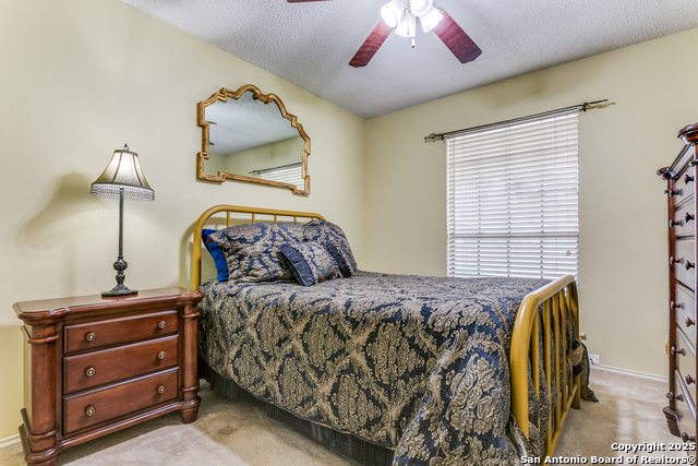 Image 18 of 24 For 2019 Shanetag