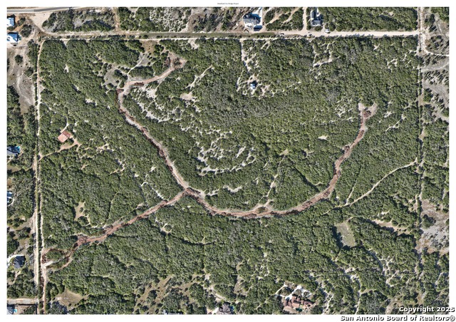 Image 3 of 4 For 1 Bergwald  