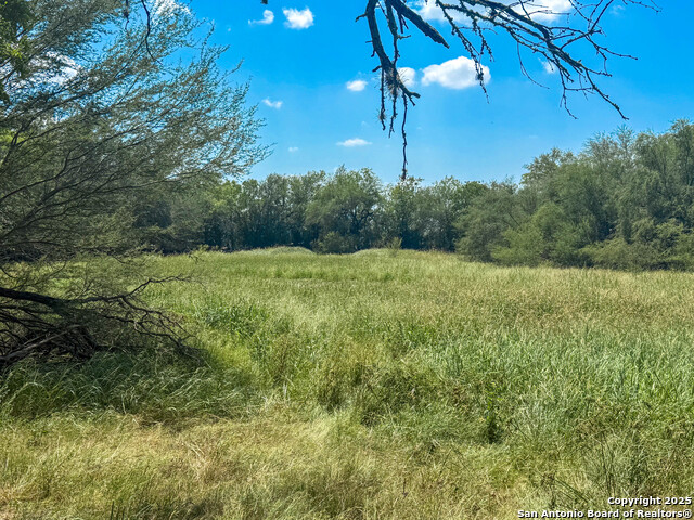 Image 4 of 27 For 2 County Road 414