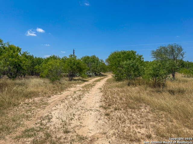 Image 17 of 22 For 1 County Road 414