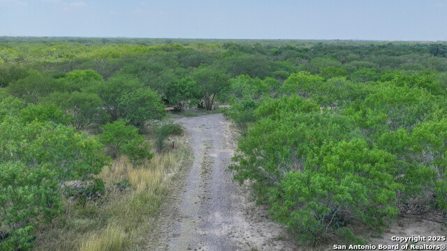 Image 8 of 22 For 1 County Road 414