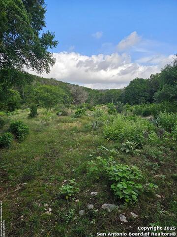 Image 3 of 19 For 0 Happy Hollow