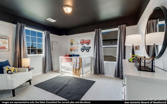 Image 19 of 22 For 6564 Cibolo Springs