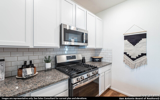 Image 6 of 16 For 6565 Cibolo Springs