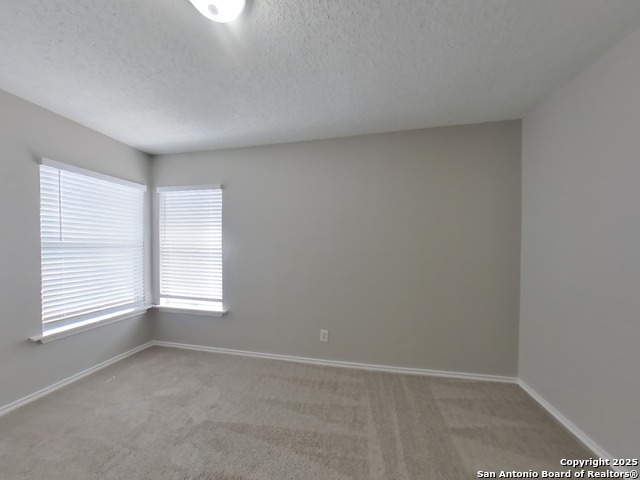 Image 9 of 17 For 8014 Chestnut Blue