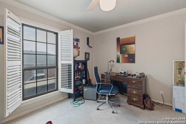 Image 15 of 15 For 5359 Fredericksburg  804