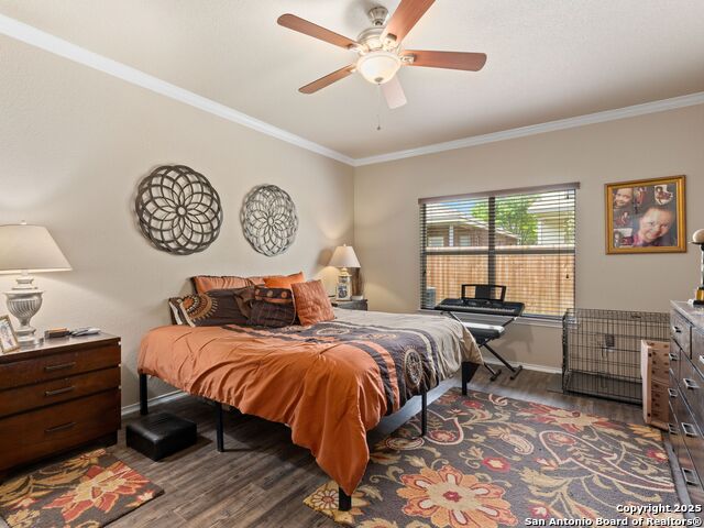 Image 16 of 26 For 9823 Amberg  