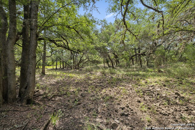 Details for 547 County Road 3401, Hondo, TX 78861