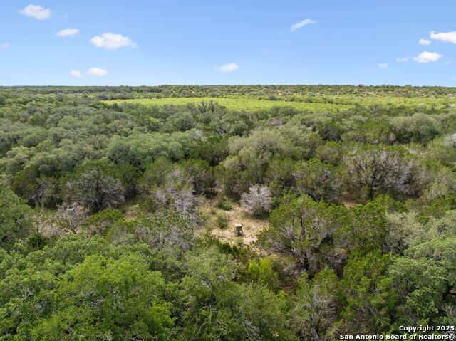 Image 19 of 50 For 547 County Road 3401