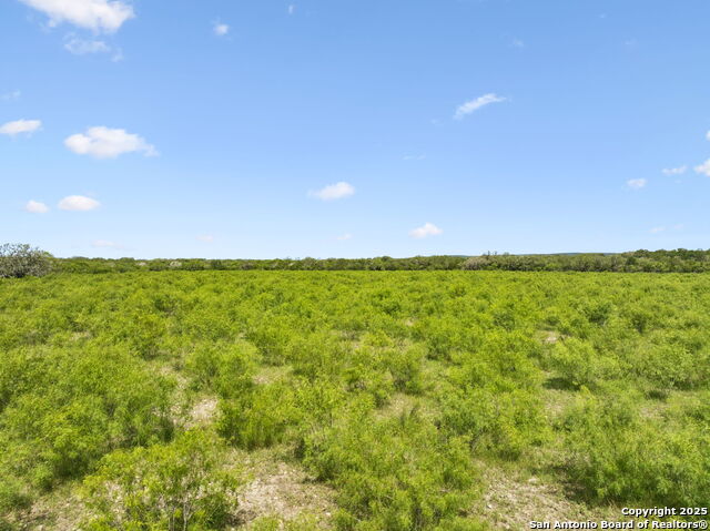 Image 36 of 50 For 547 County Road 3401
