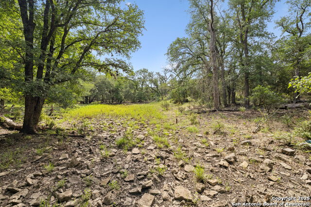 Image 4 of 50 For 547 County Road 3401