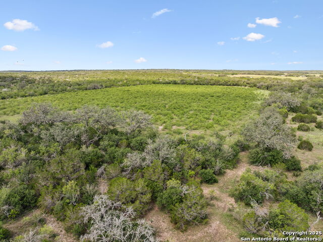 Image 48 of 50 For 547 County Road 3401