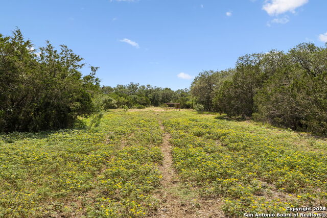 Image 6 of 50 For 547 County Road 3401