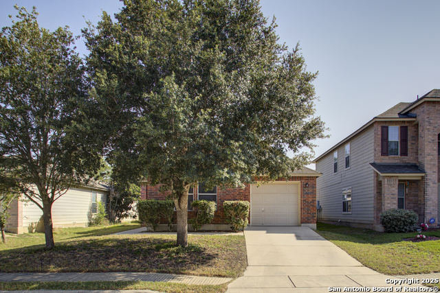 Details for 10323 Green Candle, San Antonio, TX 78223
