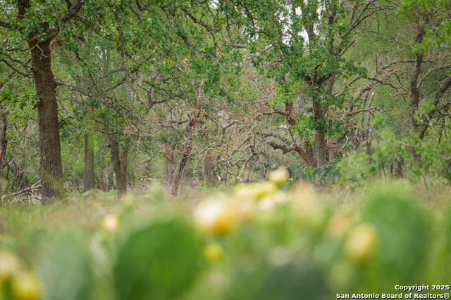 Image 3 of 12 For Tbd Rm 473  