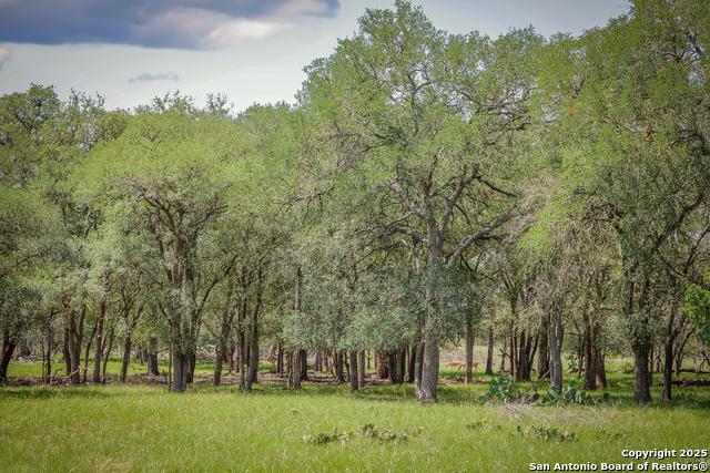 Image 6 of 12 For Tbd Rm 473  