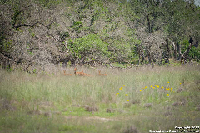 Image 9 of 12 For Tbd Rm 473  