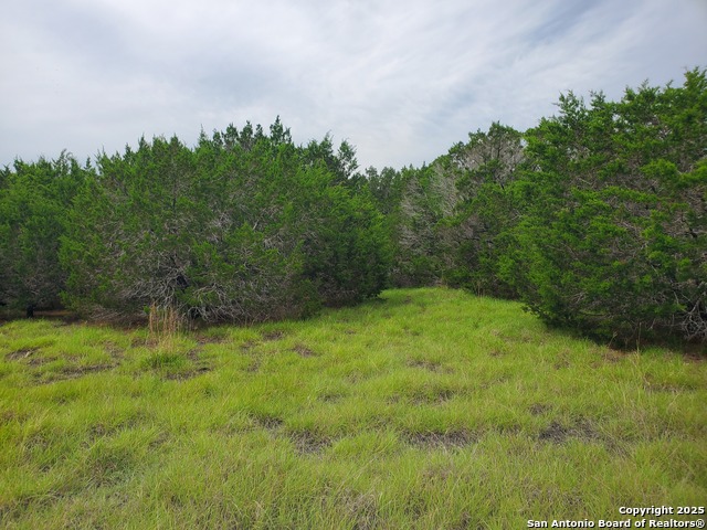 Image 10 of 15 For 1230 Fir  