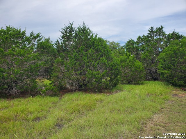 Image 11 of 15 For 1230 Fir  