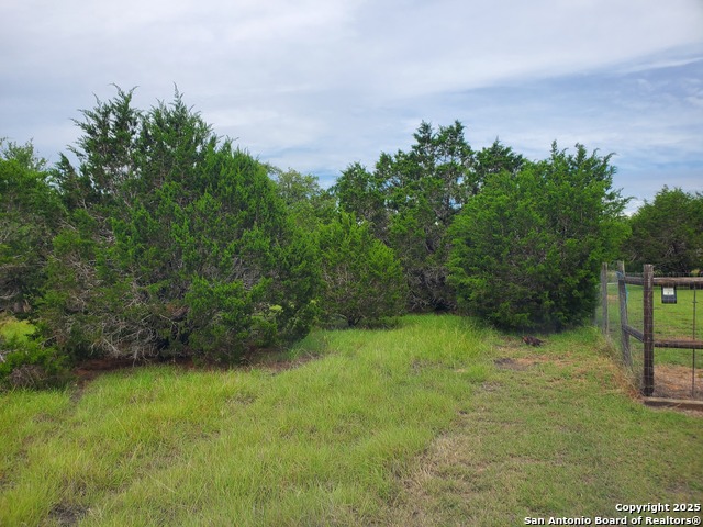 Image 12 of 15 For 1230 Fir  