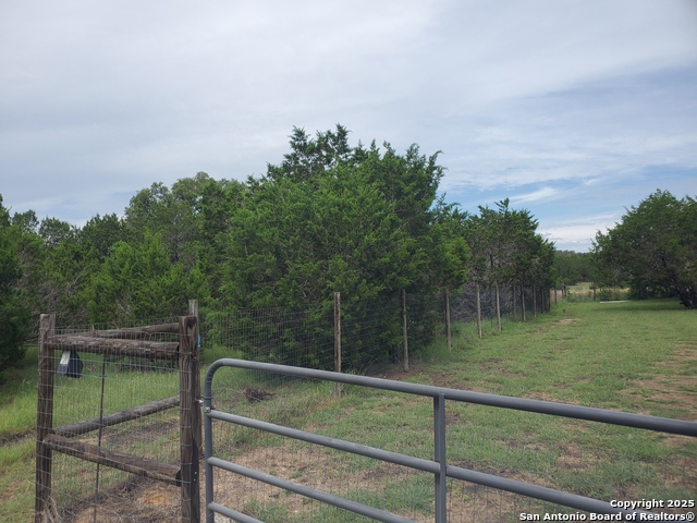 Image 13 of 15 For 1230 Fir  