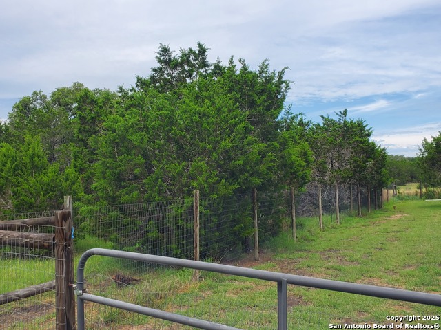 Image 14 of 15 For 1230 Fir  