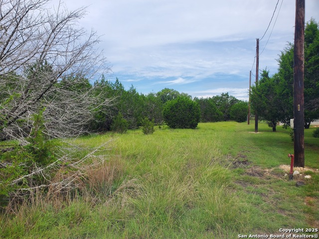 Image 6 of 15 For 1230 Fir  