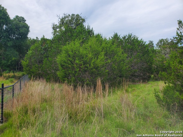 Image 7 of 15 For 1230 Fir  