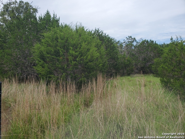 Image 8 of 15 For 1230 Fir  