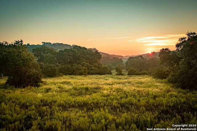 Listing photo id 9 for 359 Sugarcane