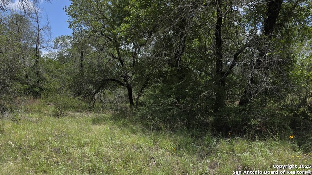 Details for Lot 49 Crestway, Somerset, TX 78069
