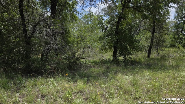 Image 2 of 17 For Lot 49 Crestway