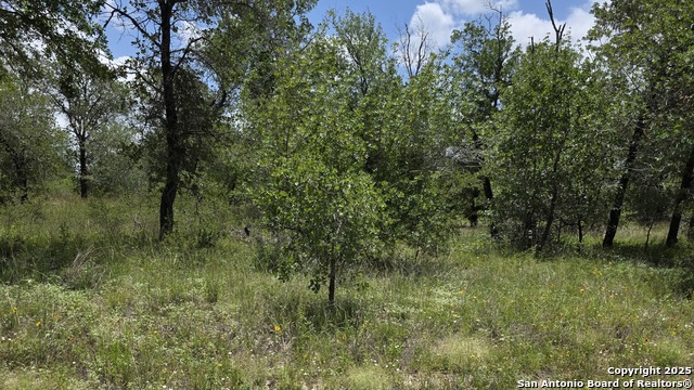 Image 3 of 17 For Lot 49 Crestway