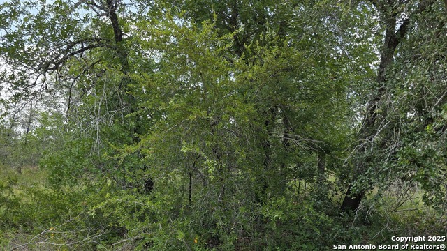 Image 4 of 17 For Lot 49 Crestway