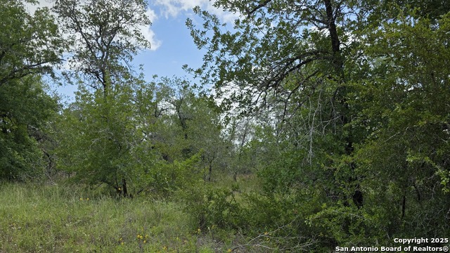 Image 5 of 17 For Lot 49 Crestway