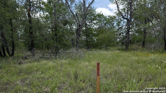 Image 6 of 17 For Lot 49 Crestway