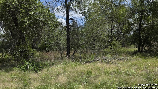 Image 7 of 17 For Lot 49 Crestway