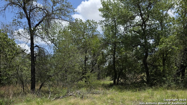 Image 8 of 17 For Lot 49 Crestway