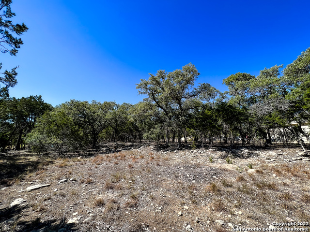 Listing photo id 1 for 209 Legacy Ridge
