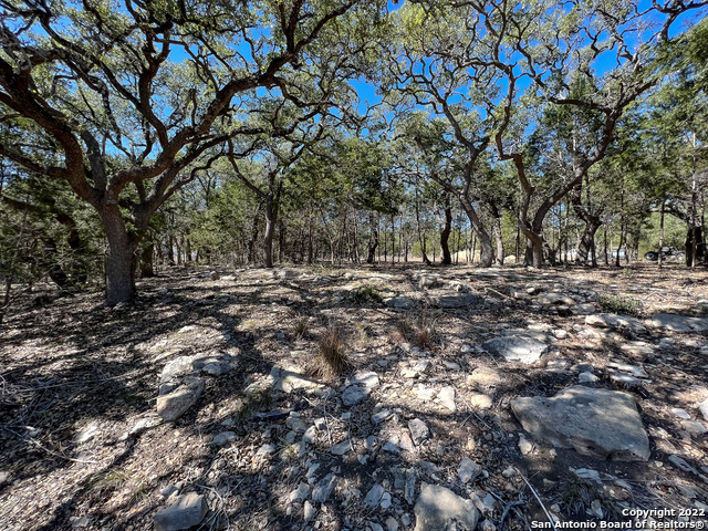 Listing photo id 3 for 209 Legacy Ridge