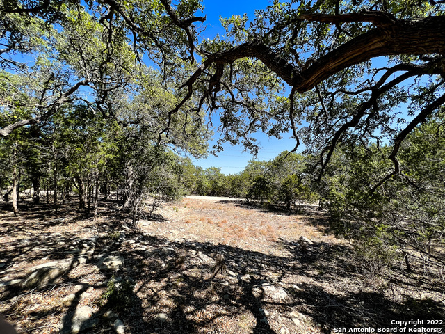 Listing photo id 4 for 209 Legacy Ridge