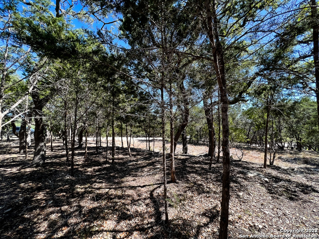 Listing photo id 5 for 209 Legacy Ridge