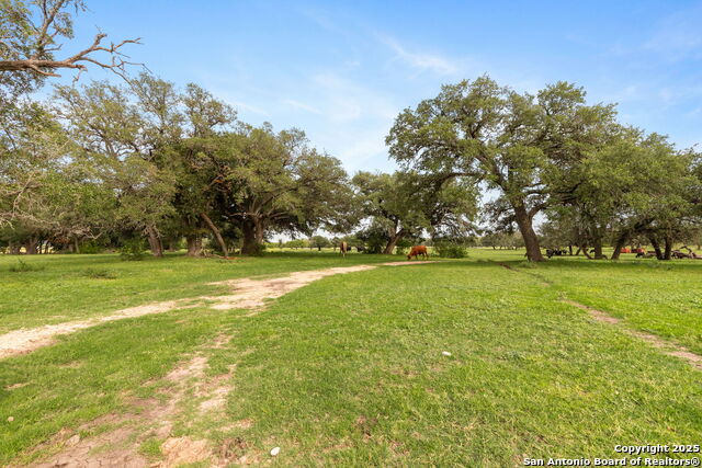 Details for Tbd Martindale, Seguin, TX 78155